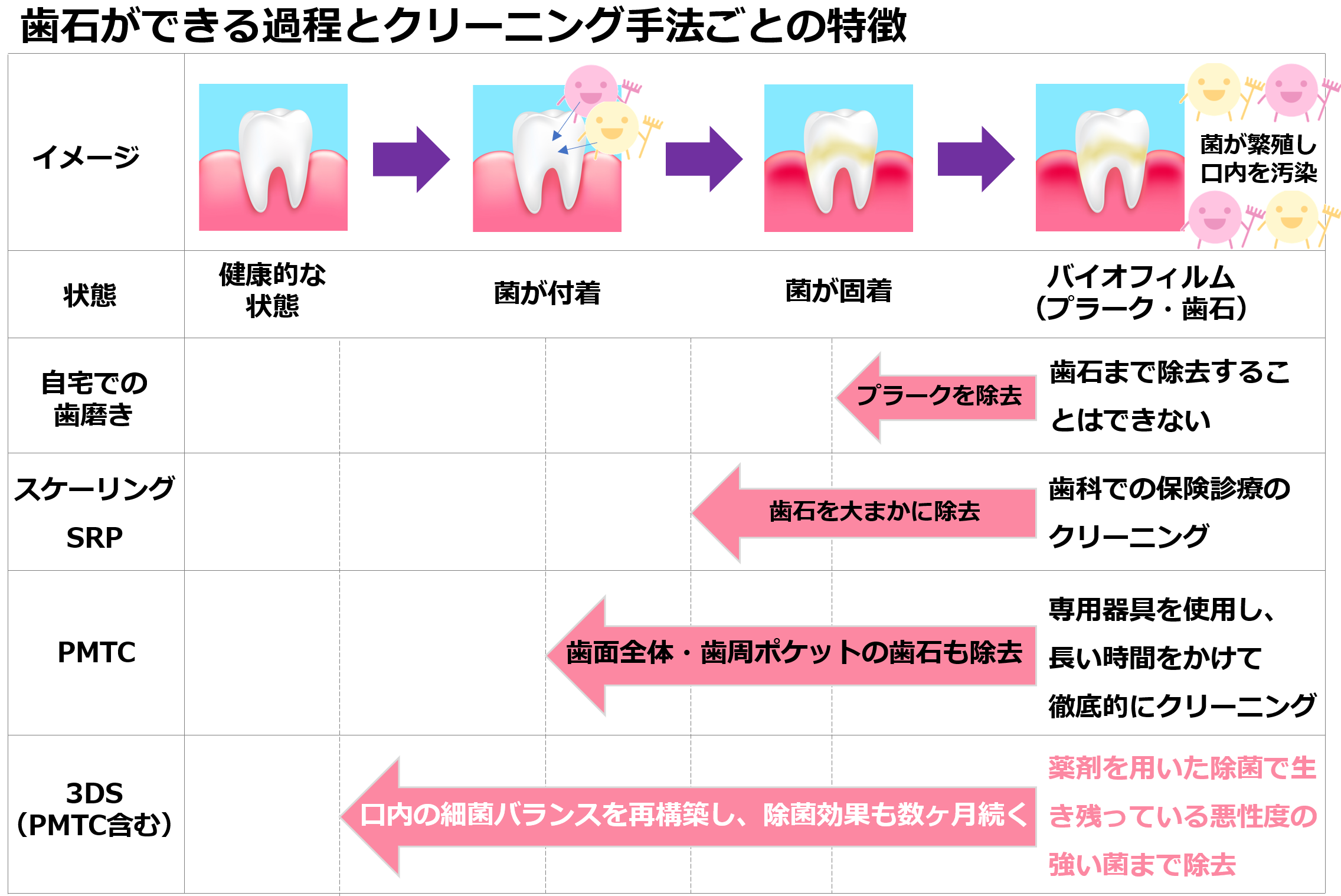 歯の状態：健康的な状態、歯周病菌が付着、歯周病菌が固着（歯垢・プラーク）、歯石の形成・歯周病の進行。自宅での歯磨き：食べかすを除去。プラークを除去することはできない。スケーリング・SRP：歯ぐき周辺の歯石を大まかに除去。歯科での保険診療のクリーニング。PMTC ：歯の全面・歯周ポケットの歯石まで除去。専用器具を使用し、長い時間をかけて徹底クリーニング。PMTC＋3DS：口腔内の細菌バランスを再構築し、除菌効果も数ヶ月続く。薬剤を用いた除菌で生き残っている悪性度の強い菌まで除去